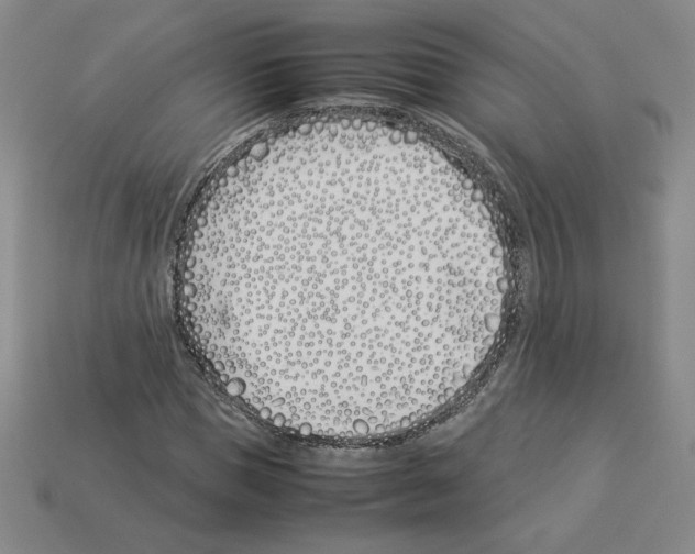 X0000112870921200910021329