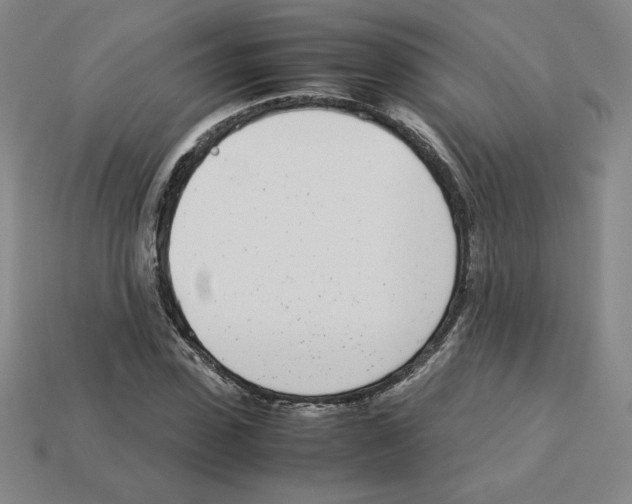 X0000112870923200910021329