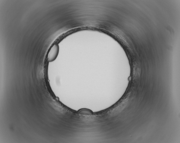 X0000112870924200910021329