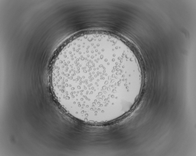 X0000112870925200910021329