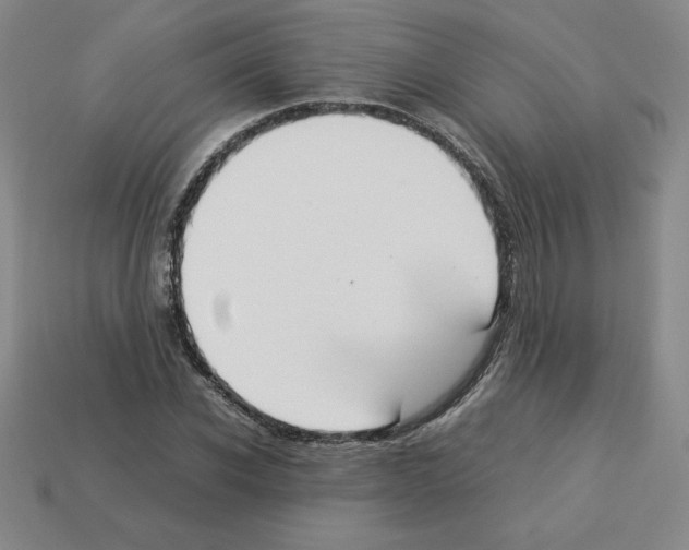 X0000112870926200910021329