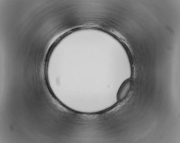 X0000112870928200910021329