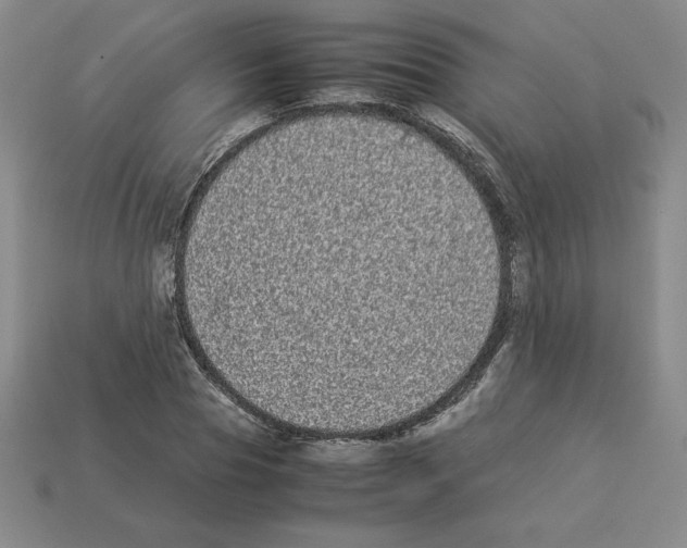 X0000112870929200910021329