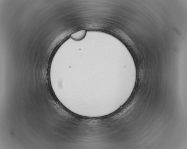 X0000112870930200910021329