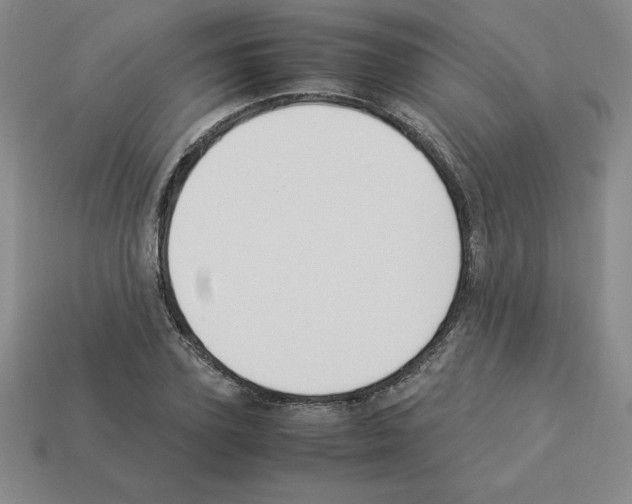 X0000112870931200910021329