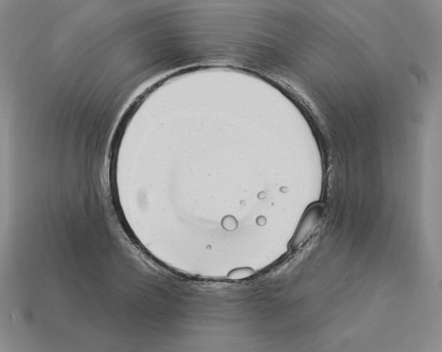 X0000112870932200910021329