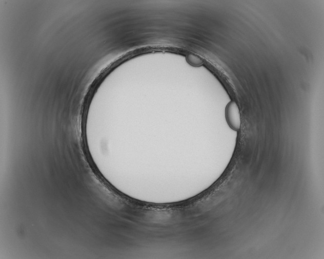 X0000112870935200910021329