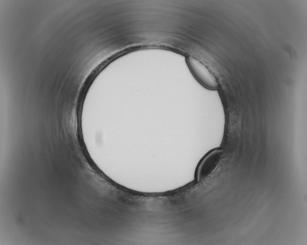 X0000112870936200910021329