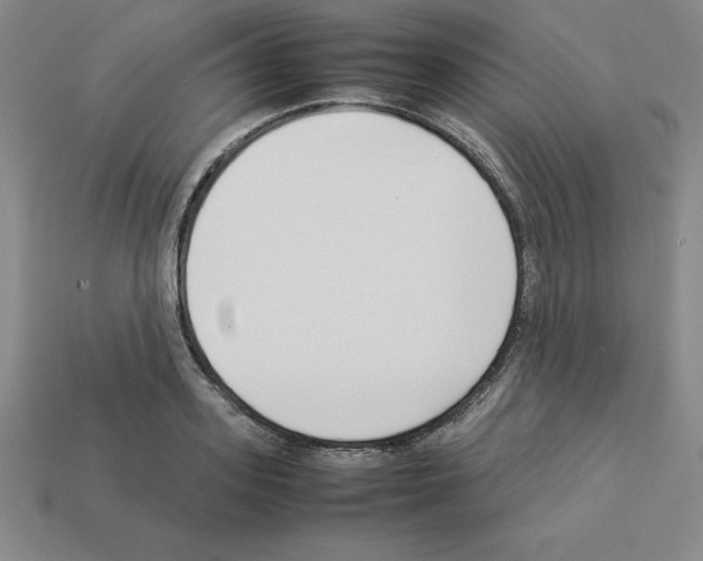 X0000112870939200910021329