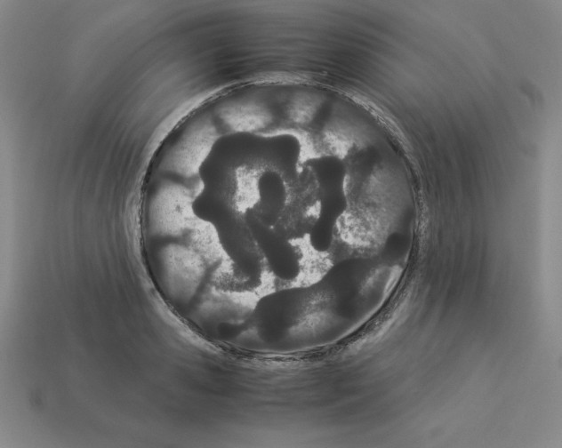 X0000112870941200910021329