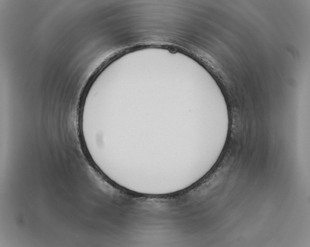 X0000112870942200910021329