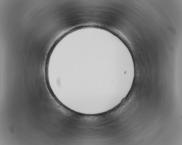 X0000112870943200910021329