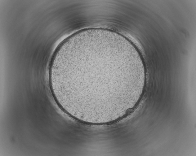 X0000112870944200910021329