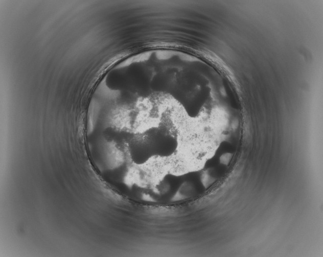 X0000112870945200910021329