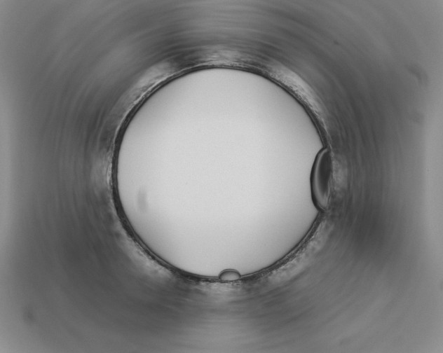 X0000112870946200910021330