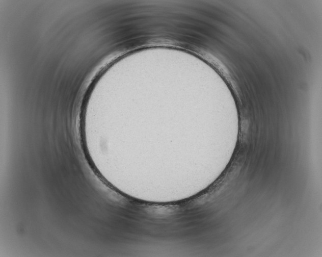 X0000112870947200910021330