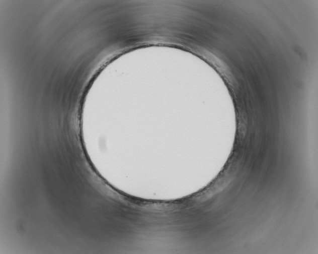 X0000112870950200910021330