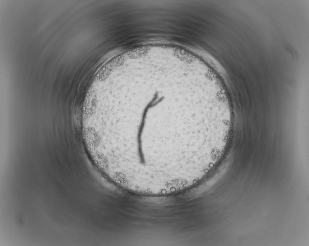 X0000112870953200910021330