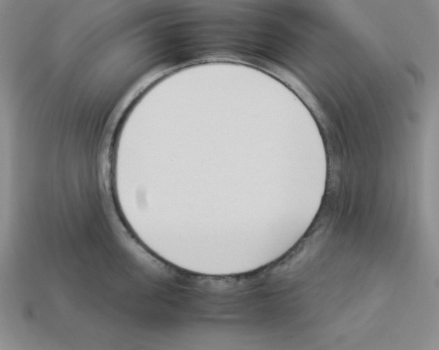 X0000112870955200910021330