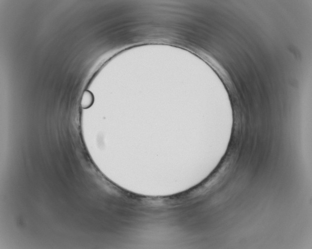 X0000112870956200910021330