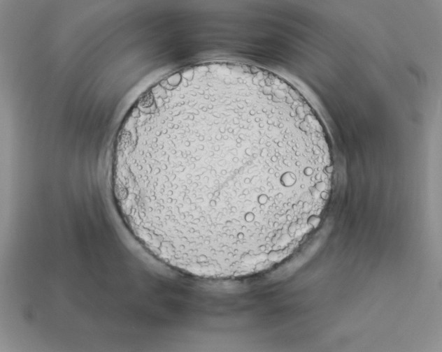 X0000112870957200910021330