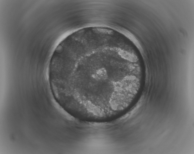 X0000112870958200910021330