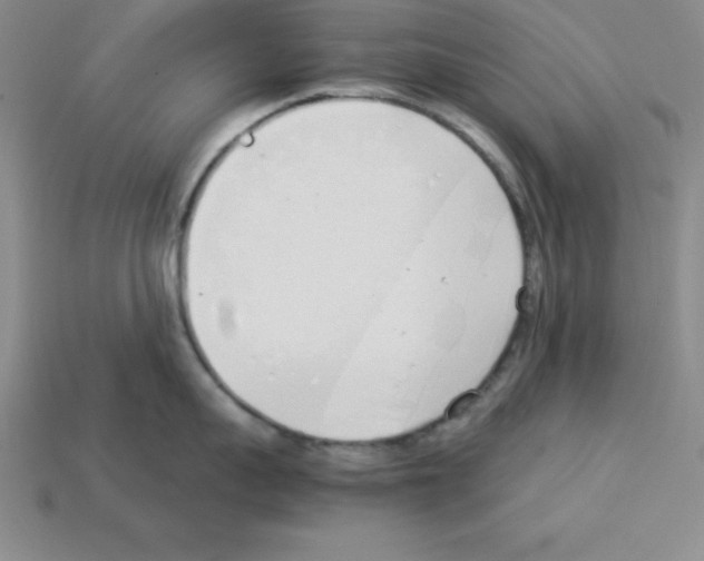 X0000112870959200910021330