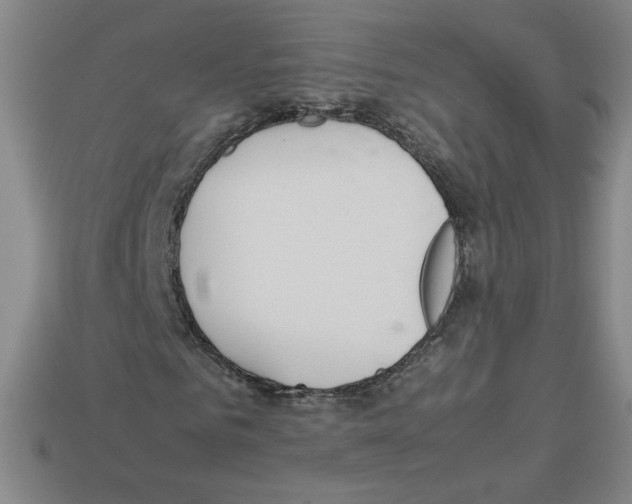 X0000112870961200910021329