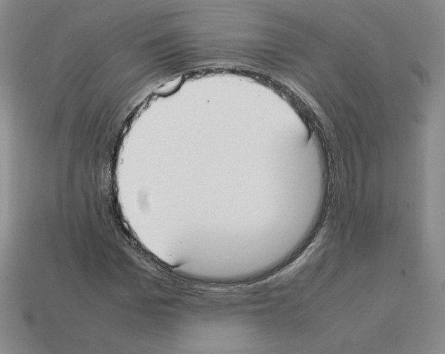 X0000112870969200910021329