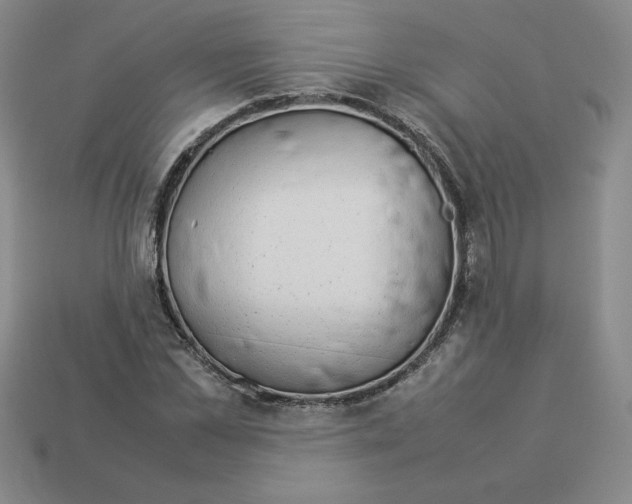 X0000112870973200910021329