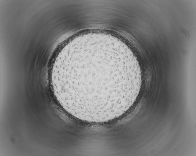 X0000112870974200910021329