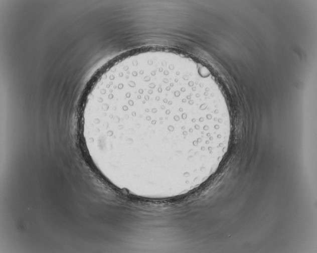 X0000112870975200910021329