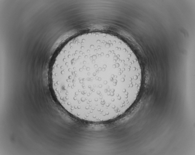 X0000112870978200910021329