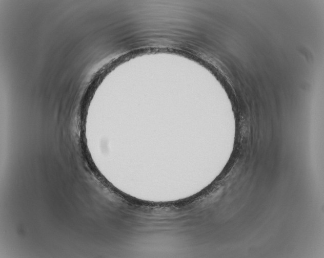 X0000112870979200910021329