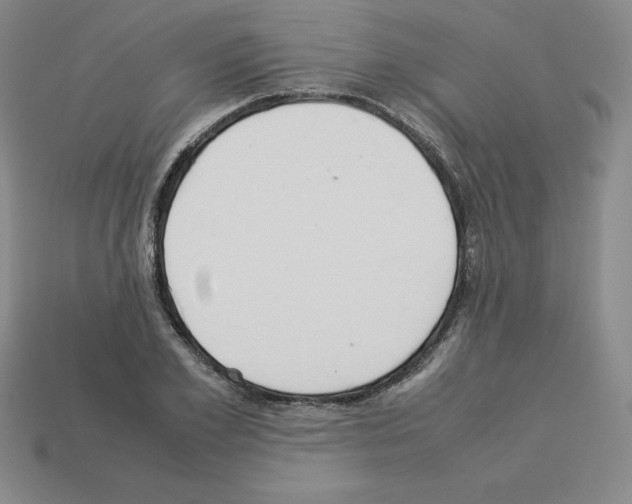 X0000112870981200910021329