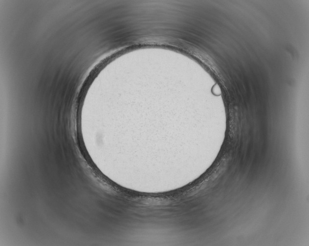 X0000112870984200910021329