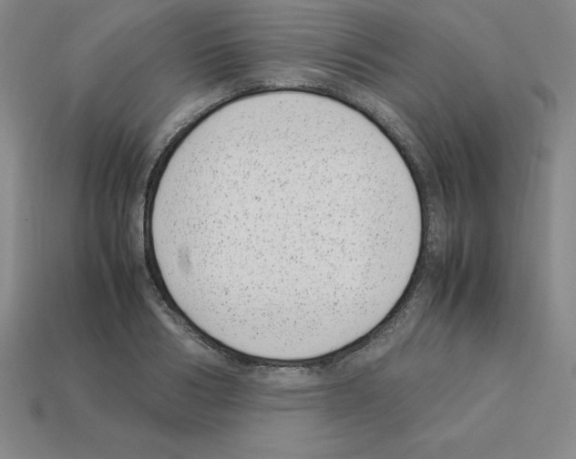 X0000112870986200910021329