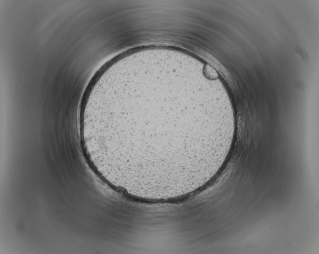 X0000112870988200910021329