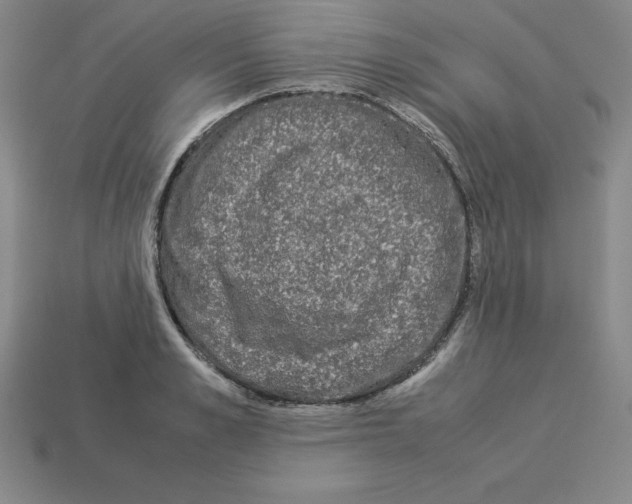 X0000112870989200910021329