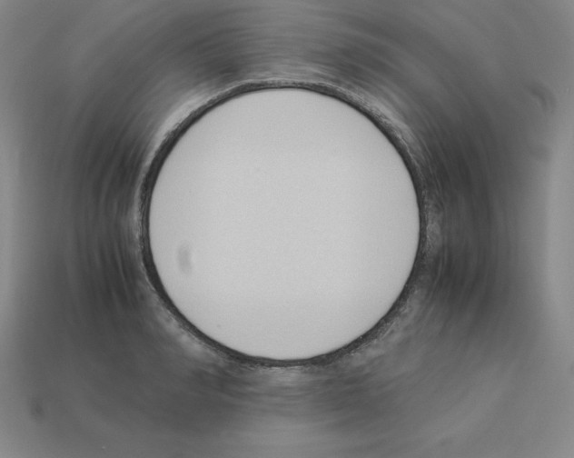 X0000112870990200910021329