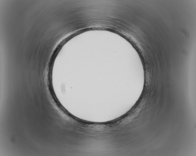 X0000112870991200910021329