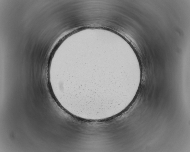 X0000112870992200910021329