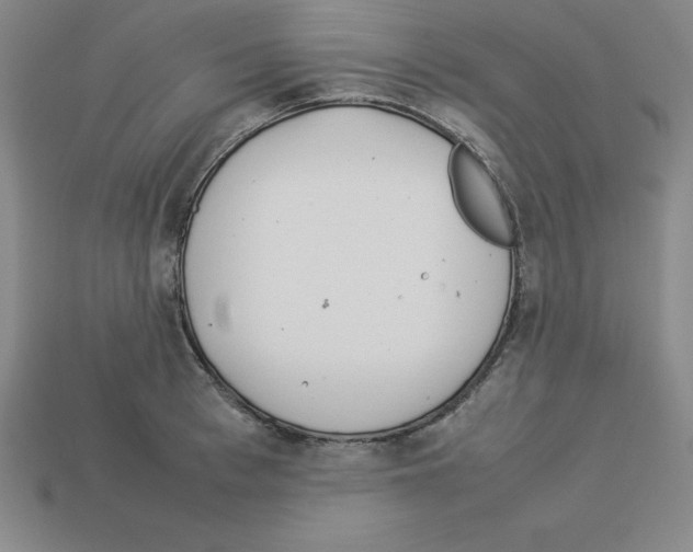 X0000112870993200910021329