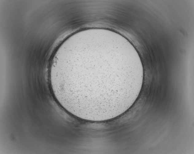 X0000112870998200910021329