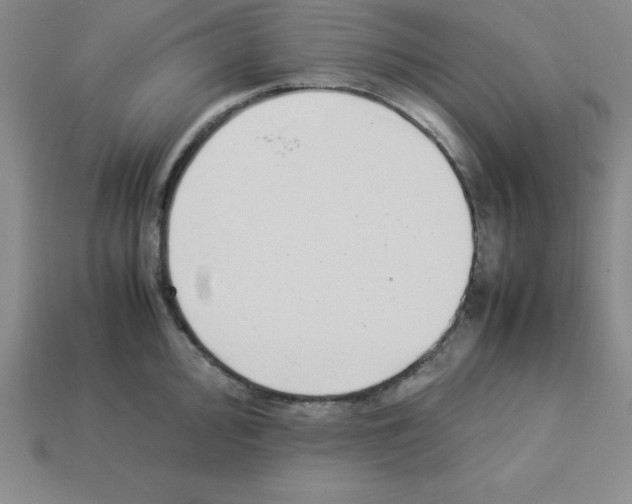 X0000112871000200910021329