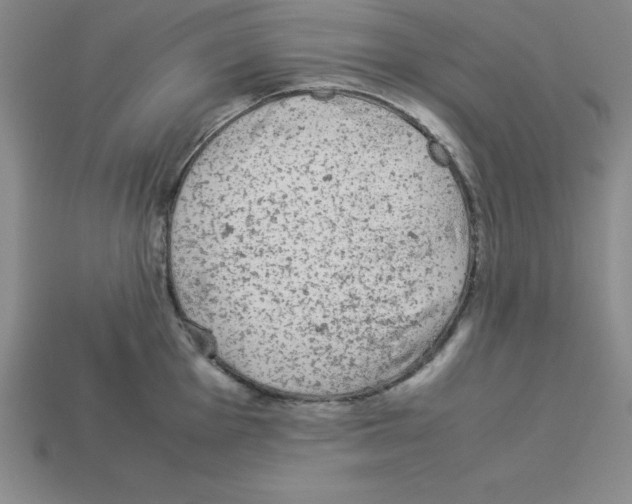 X0000112871001200910021329