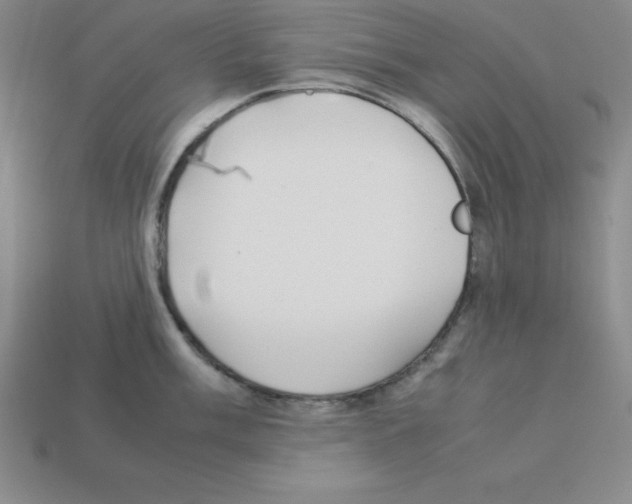 X0000112871003200910021329