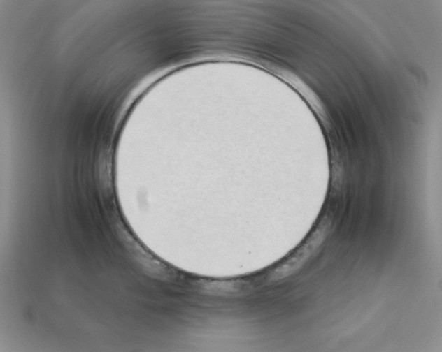 X0000112871004200910021329