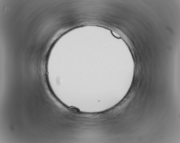 X0000112871005200910021329