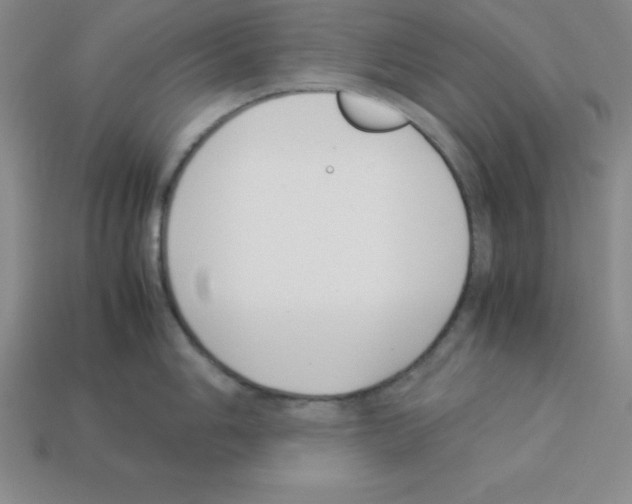 X0000112871006200910021328